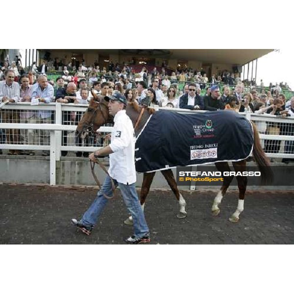 a close up for Golden Titus and his groom winners of Gran Premio Parioli Roma, 30 aprile 2007 ph. Stefano Grasso