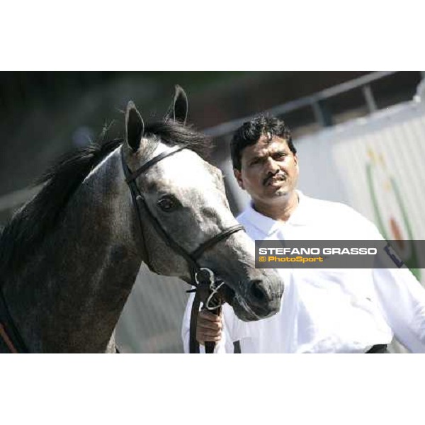 Cherry Mix and his groom walking in the parade ring before the start of Gran Premio Presidente della Repubblica 2007 Rome, 13th may 2007 ph. Stefano Grasso