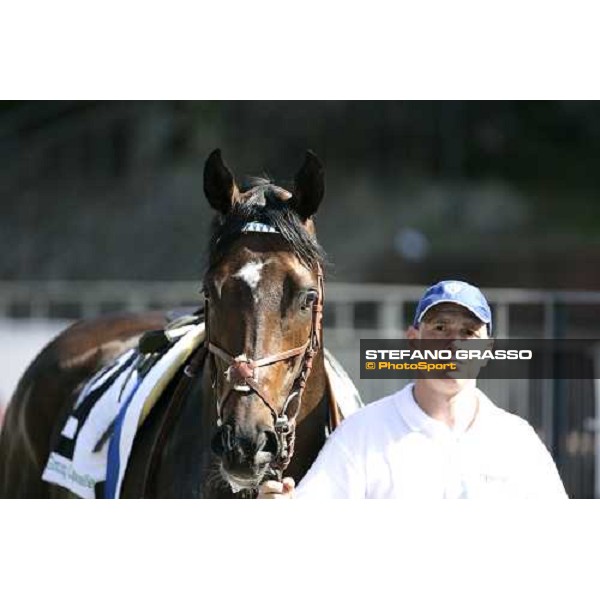 Distant Way and his groom walking in the parade ring before the start of Gran Premio Presidente della Repubblica 2007 Rome, 13th may 2007 ph. Stefano Grasso