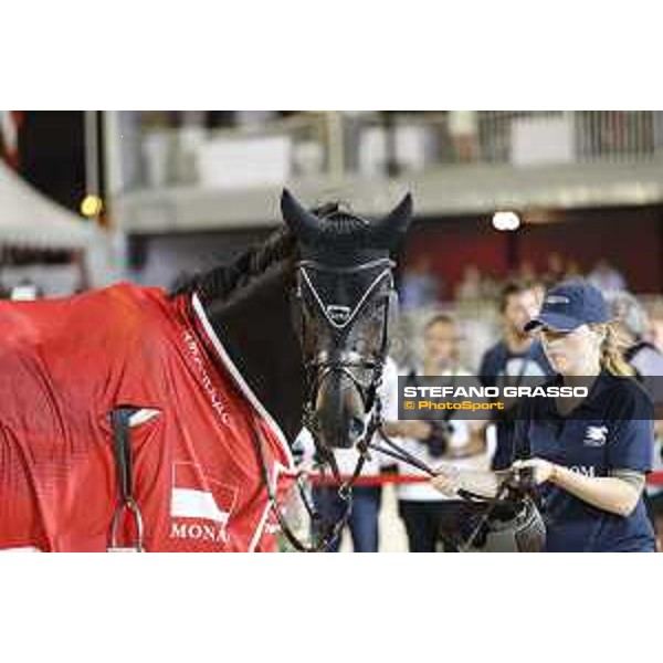 LGCT of Monaco - Grand Prix - Prize giving ceremony - Cornetto K and his groom - Monaco, Port Hercule - 24 June 2017 - ph.Stefano Grasso/LGCT