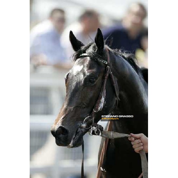 Dario Vargiu comes back on Robybat after winning the Premio della Speranza Shadwell Stud Rome, 13th may 2007 ph. Stefano Grasso