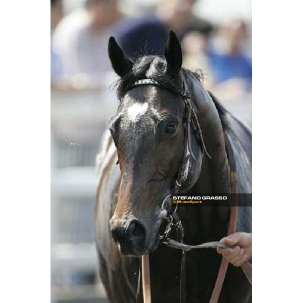 close up for Robybat Rome, 13th may 2007 ph. Stefano Grasso