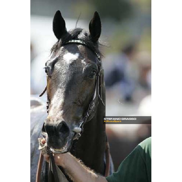 close up for Robybat Rome, 13th may 2007 ph. Stefano Grasso