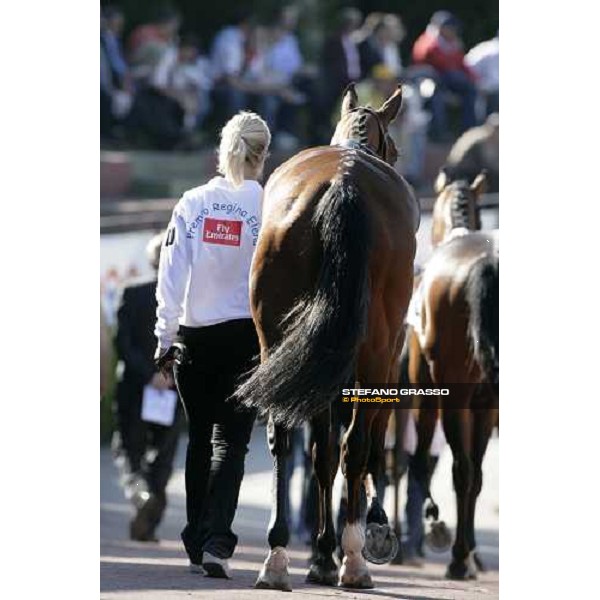 horses of Premio Regina Elena enter the parade ring Rome, 13th may 2007 ph. Stefano Grasso