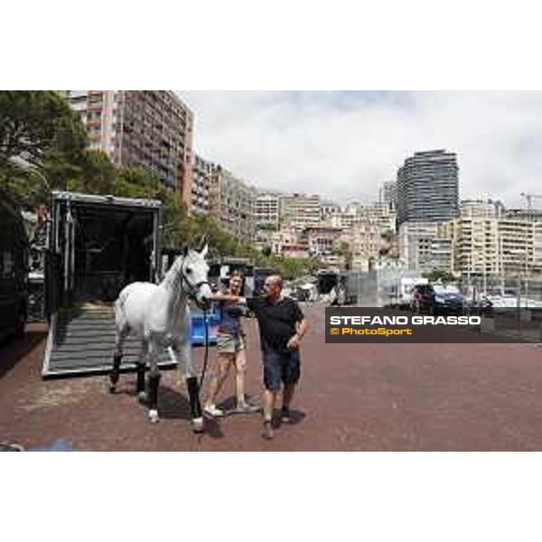 LGCT of Monaco - The horses arrive at Port Hercule Monaco,22nd june 2017 - ph.Stefano Grasso/LGCT