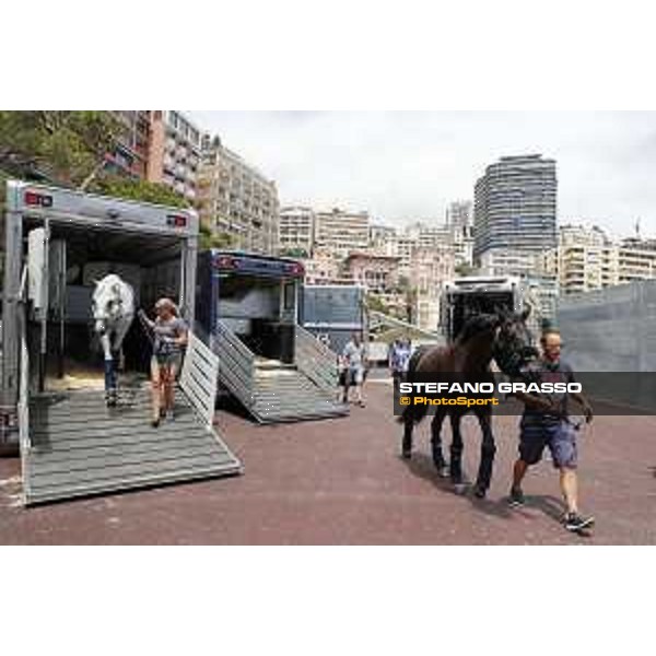LGCT of Monaco - The horses arrive at Port Hercule Monaco,22nd june 2017 - ph.Stefano Grasso/LGCT