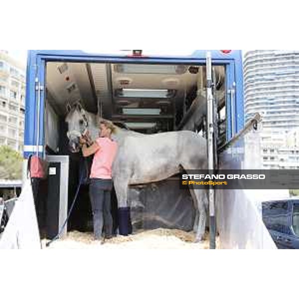 LGCT of Monaco - The horses arrive at Port Hercule Monaco,22nd june 2017 - ph.Stefano Grasso/LGCT