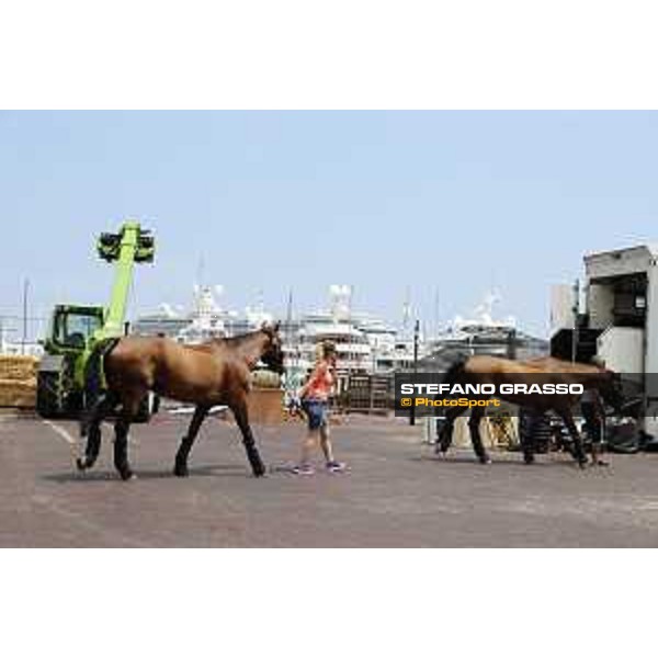 LGCT of Monaco - The horses arrive at Port Hercule Monaco,22nd june 2017 - ph.Stefano Grasso/LGCT