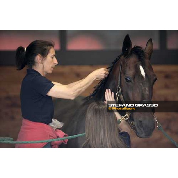 Anna prepara Varenne per la festa Vigone (To), 19th may 2007 ph. Stefano Grasso