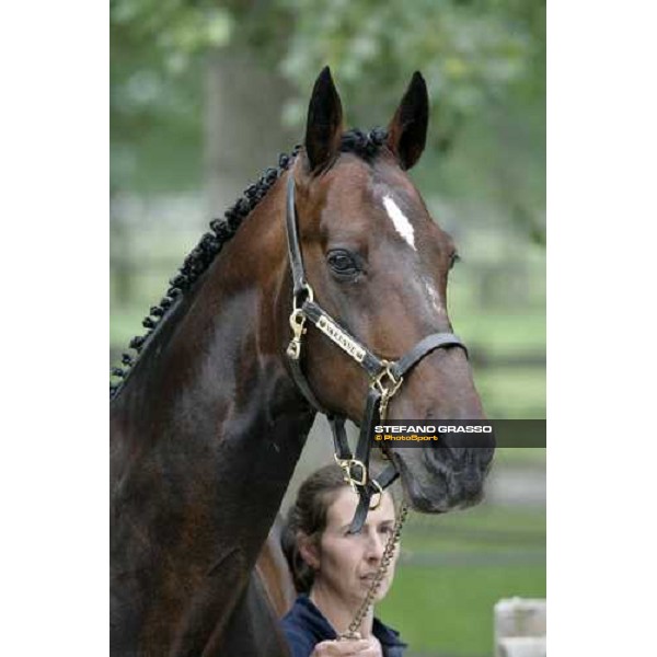 Varenne with his groom Anna Vigone (To), 19th may 2007 ph. Stefano Grasso