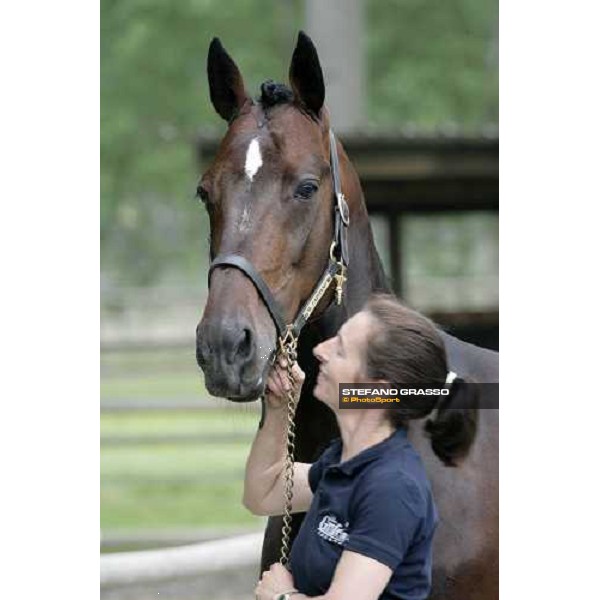 Varenne with his groom, Anna. Vigone (To), 19th may 2007 ph. Stefano Grasso