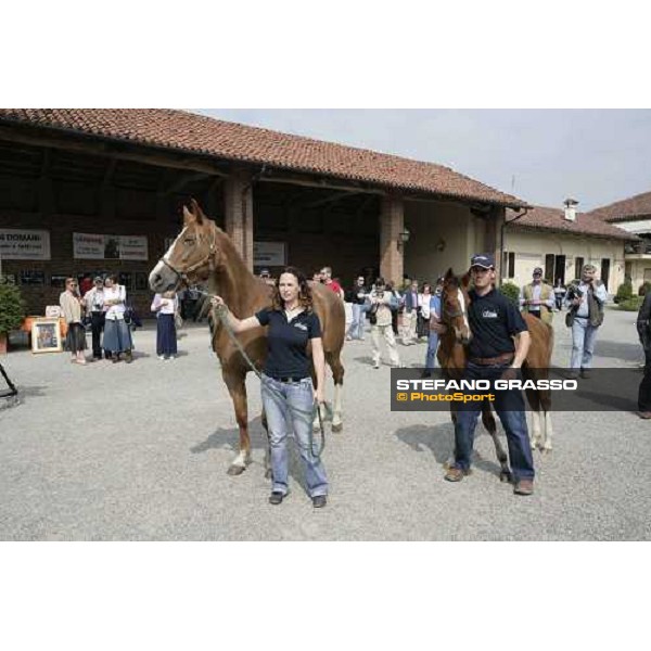 la presentazione di una fattrice e un puledro figlio di Varenne Vigone (To), 19th may 2007 ph. Stefano Grasso