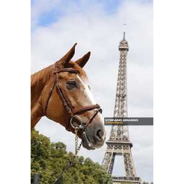 LGCT of Paris Eiffel Mic Mac du Tillard - Paris,29th june 2017 - ph.Stefano Grasso/LGCT