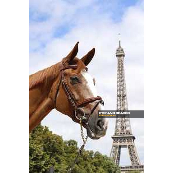 LGCT of Paris Eiffel Mic Mac du Tillard - Paris,29th june 2017 - ph.Stefano Grasso/LGCT