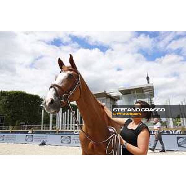 LGCT of Paris Eiffel - vet inspection Mic Mac du Tillard - Paris,29th june 2017 - ph.Stefano Grasso/LGCT