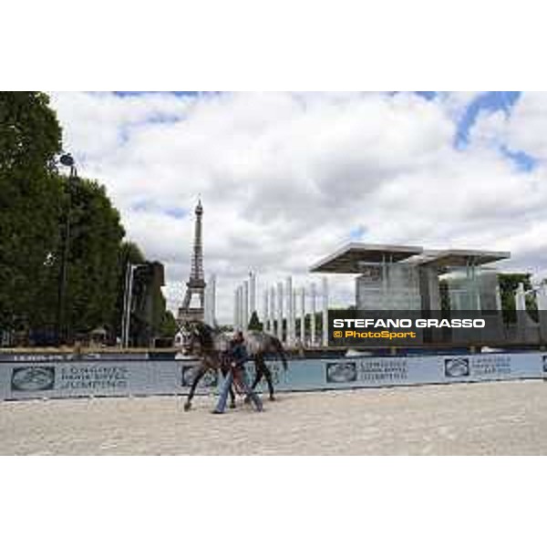 LGCT of Paris Eiffel - vet inspection Hector - Paris,29th june 2017 - ph.Stefano Grasso/LGCT
