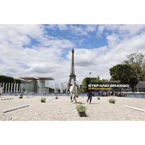 LGCT of Paris Eiffel - vet inspection Roger Yves Bost and Pegase du Murier - Paris,29th june 2017 - ph.Stefano Grasso/LGCT