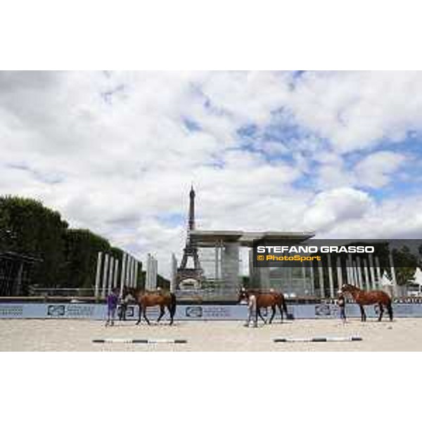 LGCT of Paris Eiffel - vet inspection - Paris,29th june 2017 - ph.Stefano Grasso/LGCT
