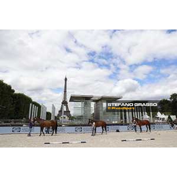 LGCT of Paris Eiffel - vet inspection - Paris,29th june 2017 - ph.Stefano Grasso/LGCT