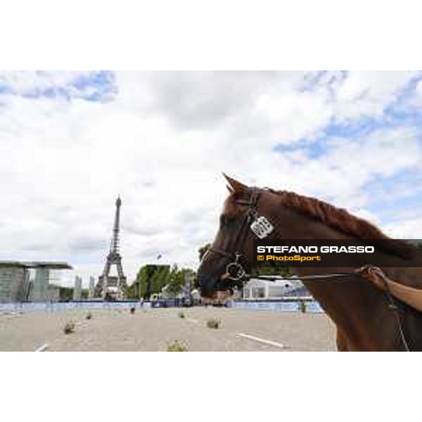 LGCT of Paris Eiffel - vet inspection Halifax van het Kluizebos - Paris,29th june 2017 - ph.Stefano Grasso/LGCT