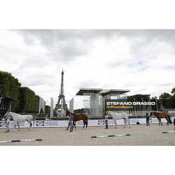 LGCT of Paris Eiffel - vet inspection - Paris,29th june 2017 - ph.Stefano Grasso/LGCT