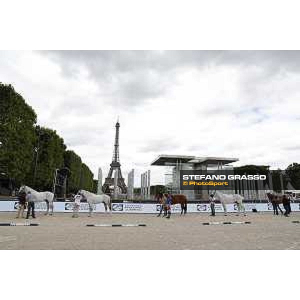 LGCT of Paris Eiffel - vet inspection - Paris,29th june 2017 - ph.Stefano Grasso/LGCT