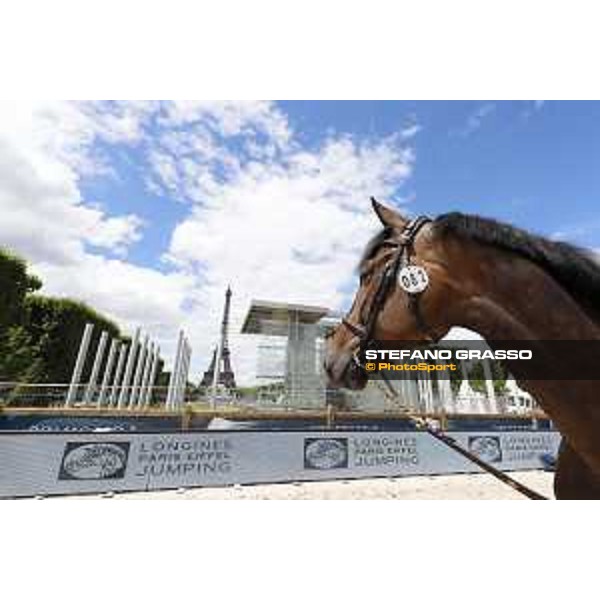 LGCT of Paris Eiffel - vet inspection - Paris,29th june 2017 - ph.Stefano Grasso/LGCTLGCT of Paris Eiffel - vet inspection GK Casper - Paris,29th june 2017 - ph.Stefano Grasso/LGCT