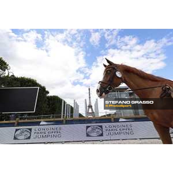 LGCT of Paris Eiffel - vet inspection - Paris,29th june 2017 - ph.Stefano Grasso/LGCTLGCT of Paris Eiffel - vet inspection Grand Cru van de Rozemberg - Paris,29th june 2017 - ph.Stefano Grasso/LGCT