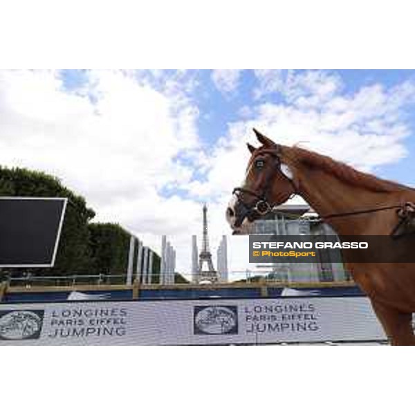 LGCT of Paris Eiffel - vet inspection - Paris,29th june 2017 - ph.Stefano Grasso/LGCTLGCT of Paris Eiffel - vet inspection Grand Cru van de Rozemberg - Paris,29th june 2017 - ph.Stefano Grasso/LGCT