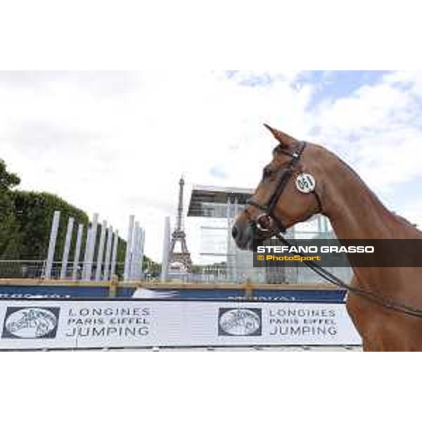LGCT of Paris Eiffel - vet inspection - Paris,29th june 2017 - ph.Stefano Grasso/LGCTLGCT of Paris Eiffel - vet inspection Wunschkind 19 - Paris,29th june 2017 - ph.Stefano Grasso/LGCT
