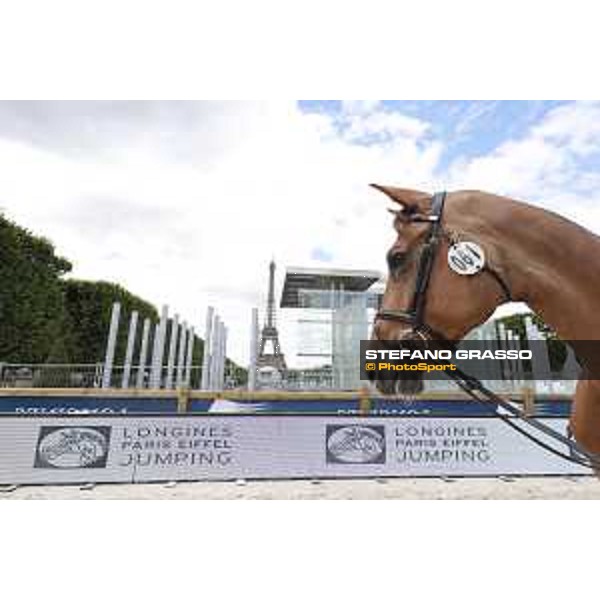 LGCT of Paris Eiffel - vet inspection - Paris,29th june 2017 - ph.Stefano Grasso/LGCTLGCT of Paris Eiffel - vet inspection Wunschkind 19 - Paris,29th june 2017 - ph.Stefano Grasso/LGCT