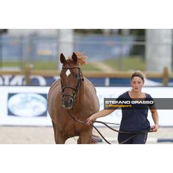 LGCT of Paris Eiffel - vet inspection - Paris,29th june 2017 - ph.Stefano Grasso/LGCTLGCT of Paris Eiffel - vet inspection Chesall Zimequest - Paris,29th june 2017 - ph.Stefano Grasso/LGCT