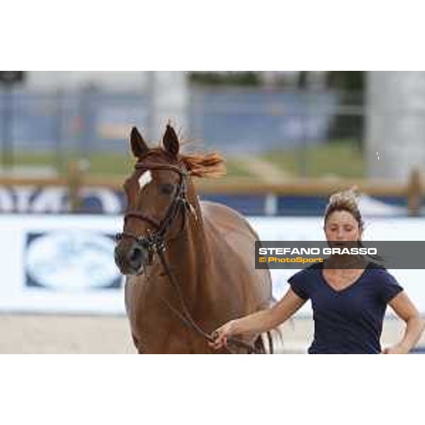 LGCT of Paris Eiffel - vet inspection - Paris,29th june 2017 - ph.Stefano Grasso/LGCTLGCT of Paris Eiffel - vet inspection Chesall Zimequest - Paris,29th june 2017 - ph.Stefano Grasso/LGCT