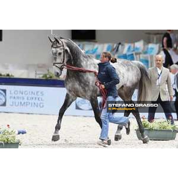 LGCT of Paris Eiffel - vet inspection Hector - Paris,29th june 2017 - ph.Stefano Grasso/LGCT