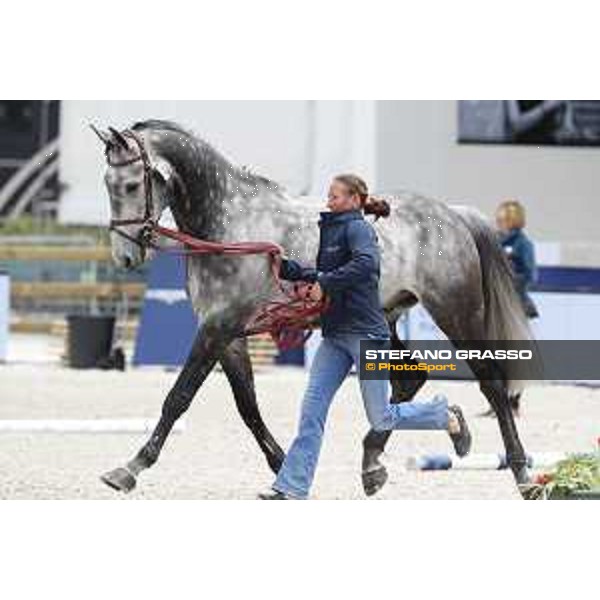 LGCT of Paris Eiffel - vet inspection Hector - Paris,29th june 2017 - ph.Stefano Grasso/LGCT