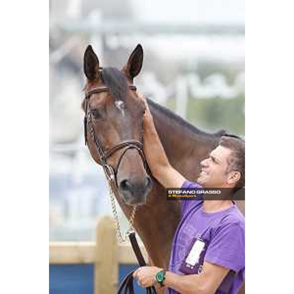 LGCT of Paris Eiffel - vet inspection MHS Going Global - Paris,29th june 2017 - ph.Stefano Grasso/LGCT