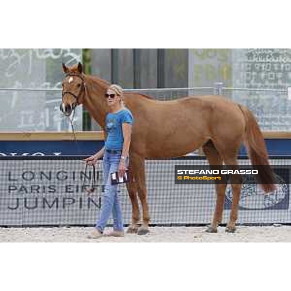 LGCT of Paris Eiffel - vet inspection Whitney - Paris,29th june 2017 - ph.Stefano Grasso/LGCT