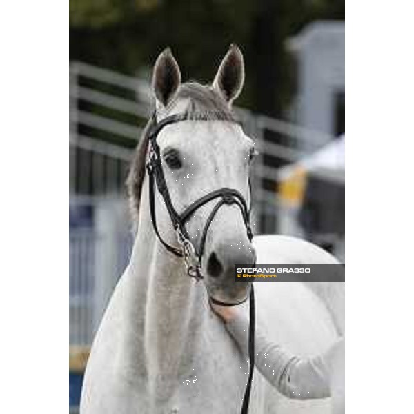 LGCT of Paris Eiffel - vet inspection H&M Legend of Love - Paris,29th june 2017 - ph.Stefano Grasso/LGCT