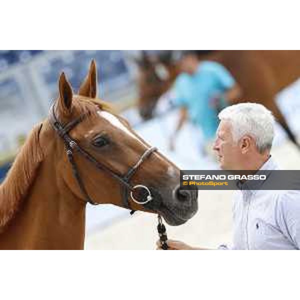 LGCT of Paris Eiffel - vet inspection Sydney Une Prince - Paris,29th june 2017 - ph.Stefano Grasso/LGCT
