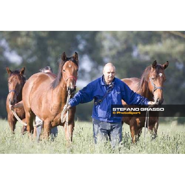Giulio with two yearlings, early in the morning, in the paddocks of Razza del Velino Colli del Velino (RI), 22nd may 2007 ph. Stefano Grasso