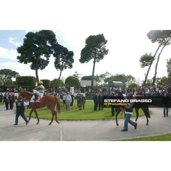 parade ring Premio Presidente della Repubblica Rome Capannelle 16th may 2004 ph. Stefano Grasso