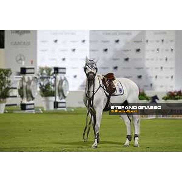 LGCT of Cascais - Class 2 -David Will on Monodie H - Cascais, - 7 July 2017 - ph.Stefano Grasso/LGCT
