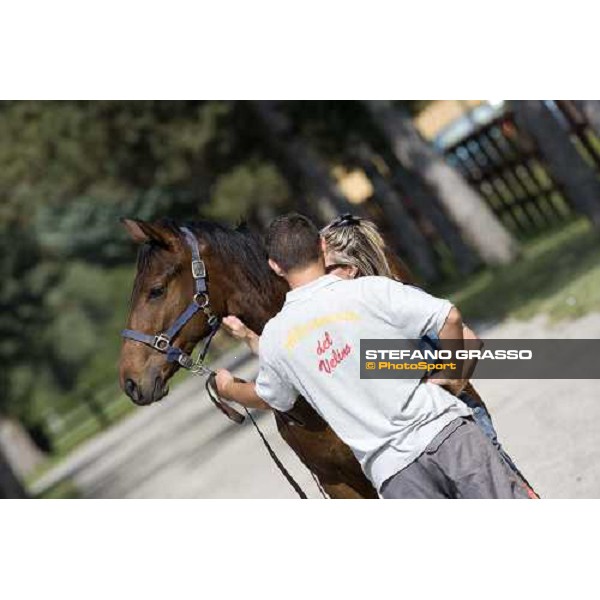 checking a yearling at Razza del Velino Colli del Velino (RI), 22nd may 2007 ph. Stefano Grasso