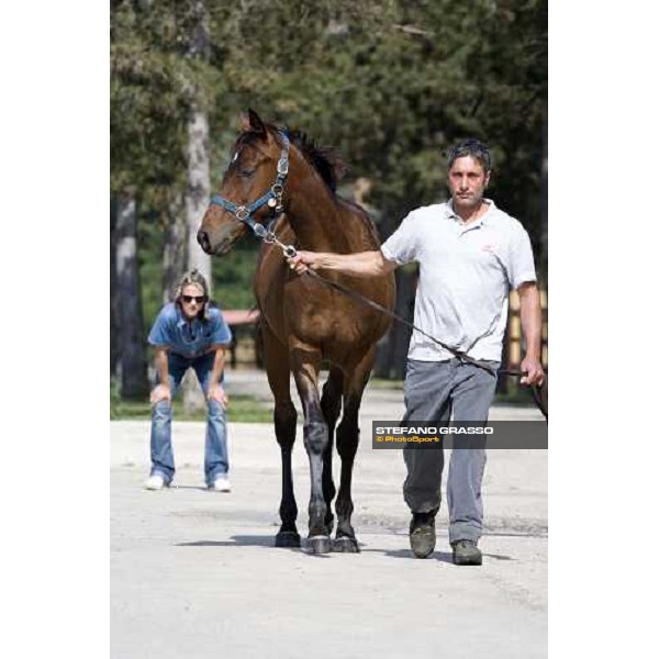 checking a yearling at Razza del Velino Colli del Velino (RI), 22nd may 2007 ph. Stefano Grasso
