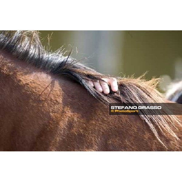 checking a yearling at Razza del Velino Colli del Velino (RI), 22nd may 2007 ph. Stefano Grasso