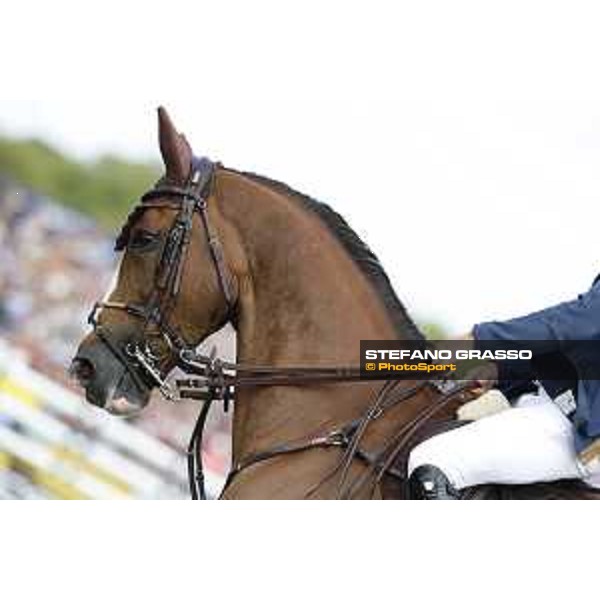 LGCT of Chantilly - Grand Prix - Scott Brash on Hello Forever Chantilly,15th july 2017 ph.Stefano Grasso/LGCT