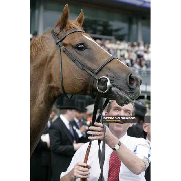 a close up for Soldier\'s Tale winner of the Golden Jubilee Stakes Ascot, Royal Ascot, 5th day 23rd june 2007 ph. Stefano Grasso