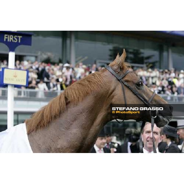 a close up for Soldier\'s Tale winner of the Golden Jubilee Stakes Ascot, Royal Ascot, 5th day 23rd june 2007 ph. Stefano Grasso