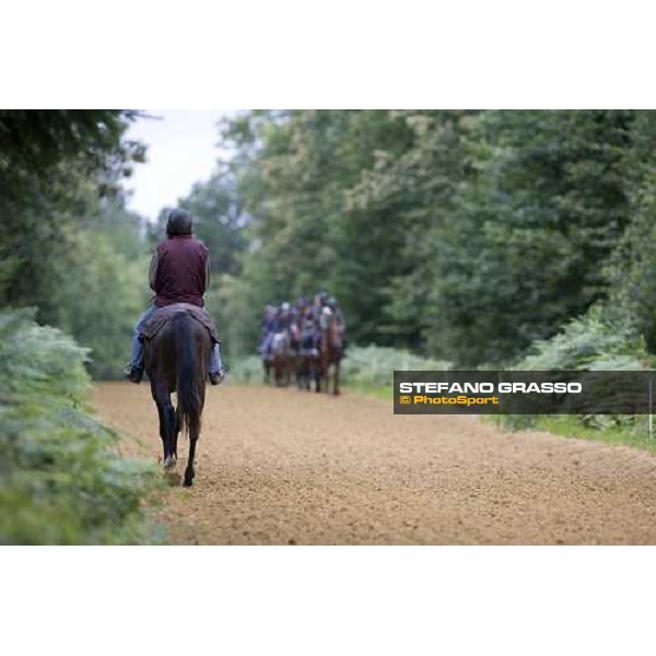 a 2 year old walking before training La Richerie, 26th june 2007 ph. Stefano Grasso