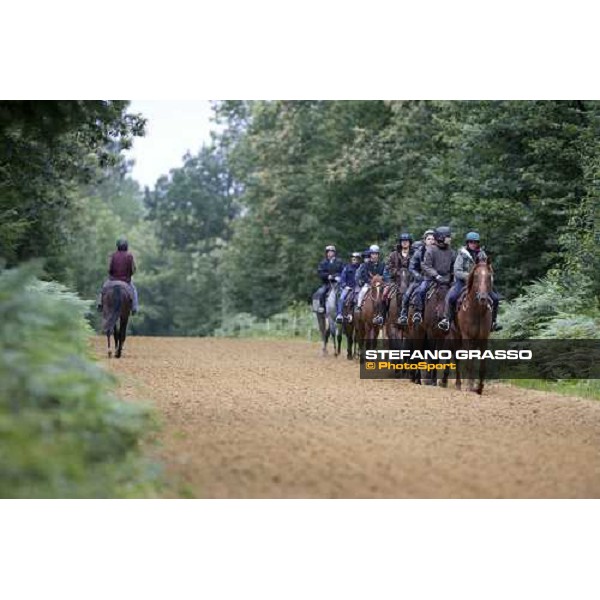 a lot of 2 years old walking in the forest before training La Richerie, 26th june 2007 ph. Stefano Grasso